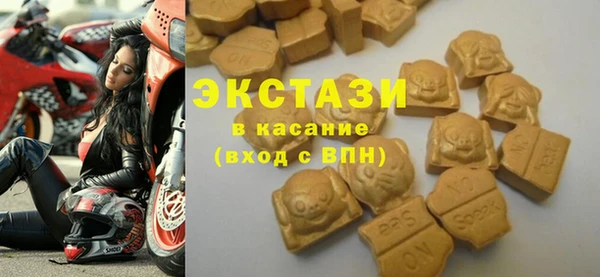 индика Инта