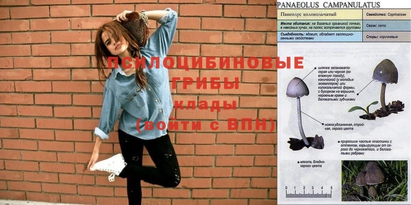 mdpv Алексеевка