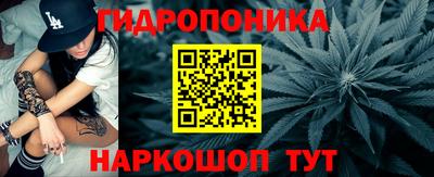 не бодяженный Гатчина