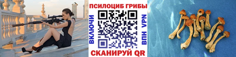 МЕГА как зайти что такое Кызыл Галлюциногенные грибы Cubensis